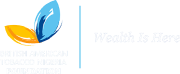 British American Tobacco Nigeria Foundation (BATN Foundation)